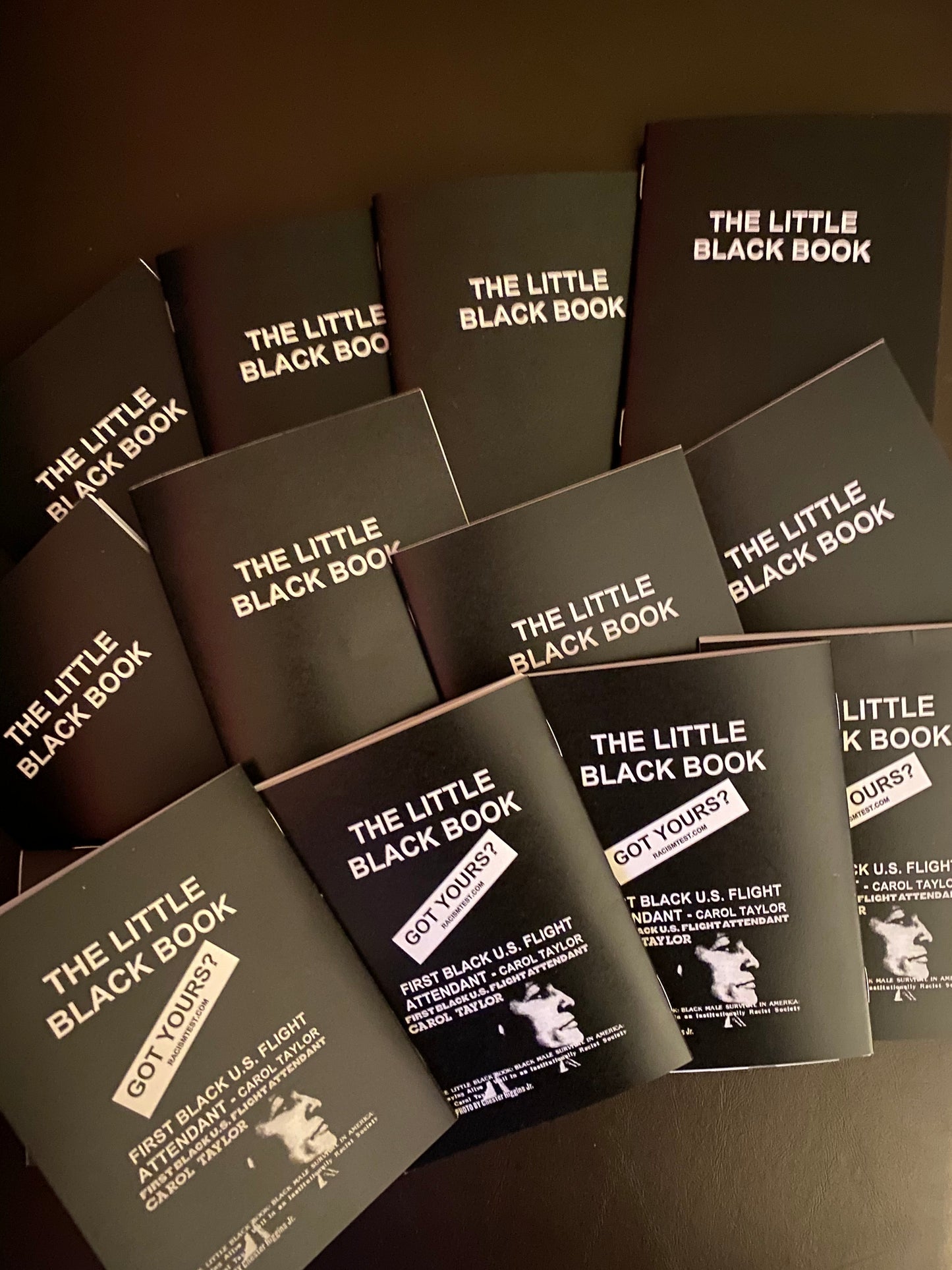 The Little Black Book - Black Survival Guide - Published in 1985 - By Carol Taylor